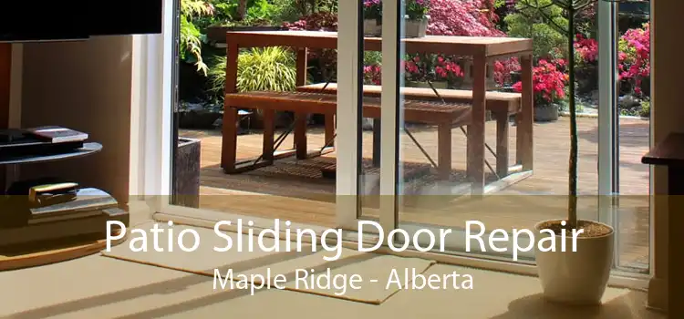 Patio Sliding Door Repair Maple Ridge - Alberta