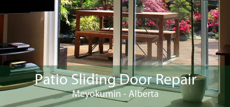 Patio Sliding Door Repair Meyokumin - Alberta