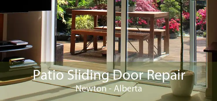 Patio Sliding Door Repair Newton - Alberta