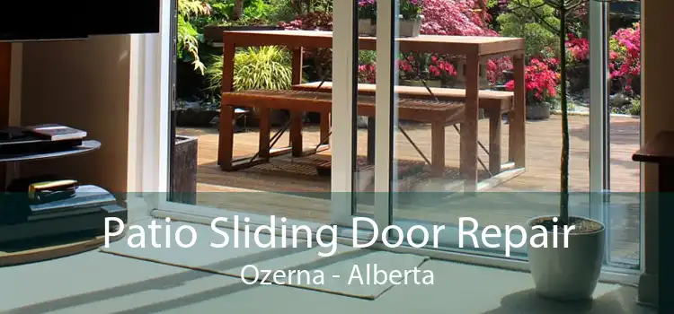 Patio Sliding Door Repair Ozerna - Alberta