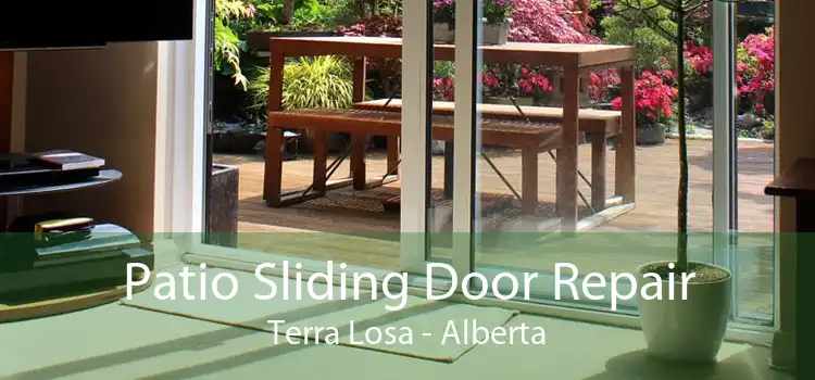 Patio Sliding Door Repair Terra Losa - Alberta
