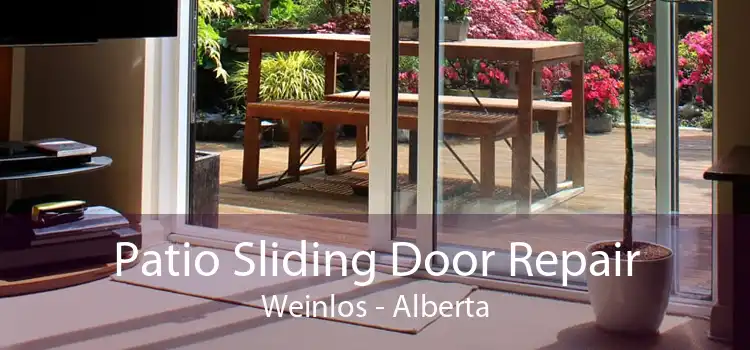 Patio Sliding Door Repair Weinlos - Alberta