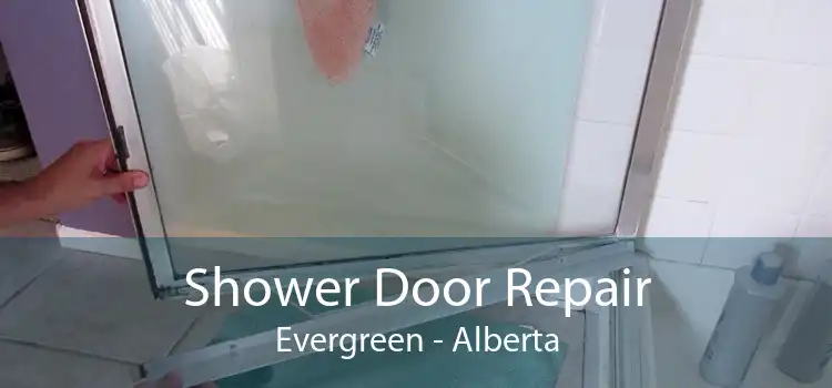 Shower Door Repair Evergreen - Alberta