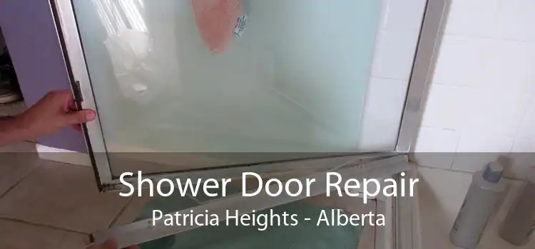 Shower Door Repair Patricia Heights - Alberta