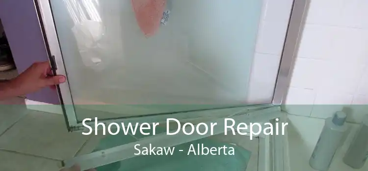 Shower Door Repair Sakaw - Alberta