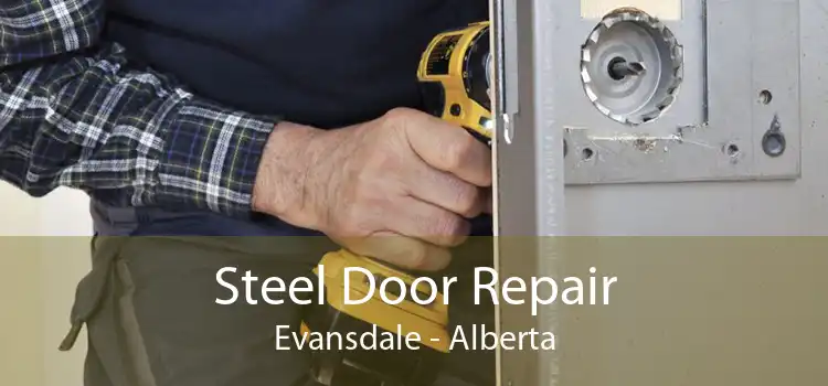 Steel Door Repair Evansdale - Alberta