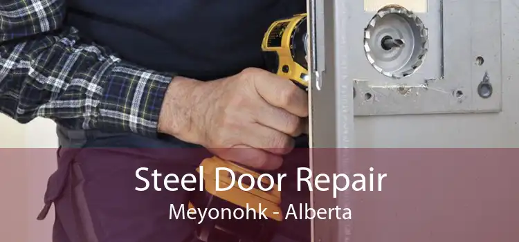 Steel Door Repair Meyonohk - Alberta