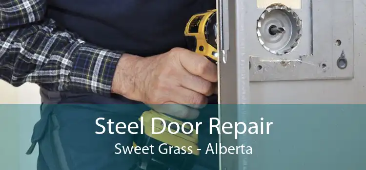 Steel Door Repair Sweet Grass - Alberta