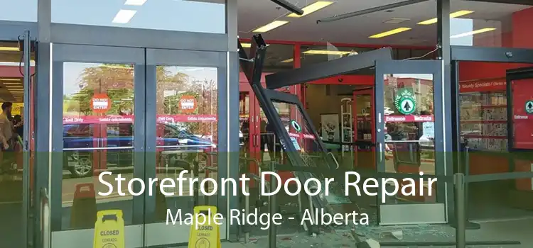 Storefront Door Repair Maple Ridge - Alberta