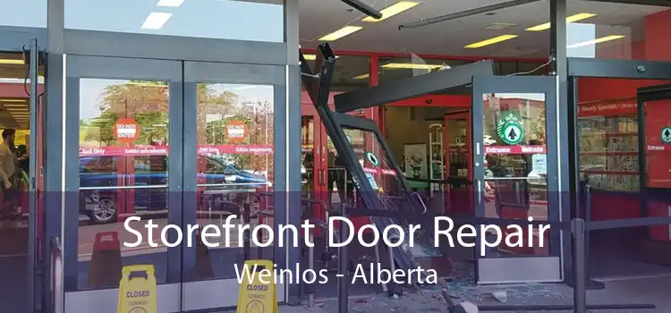 Storefront Door Repair Weinlos - Alberta