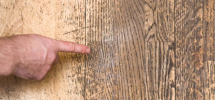 Wood Door Scratch Repair in Lansdowne